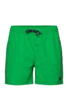Leisure Swim Shorts H2O Green