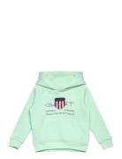 Archive Shield Raglan Hoodie GANT Green