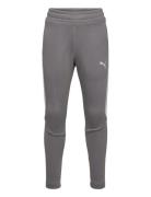 Evostripe Pants Dk B PUMA Grey