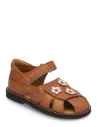 Sandals - Flat - Closed Toe ANGULUS Brown