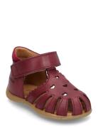 Sandals - Flat - Closed Toe ANGULUS Red