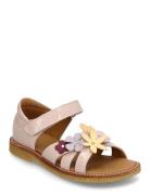 Sandals - Flat - Open Toe - Clo ANGULUS Pink