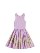 Cassandra Molo Purple