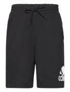 Essentials Big Logo French Terry Short Adidas Sportswear Black