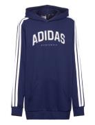 J C Colleg Hd Adidas Sportswear Navy