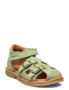 Bisgaard Steph Bisgaard Green