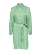 Slfirene-Tonia Ls Cupro Shirt Dress B Selected Green