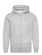 Shield Logo Zip Hoodie GANT Grey