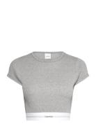 Rib Crop Tee Calvin Klein Grey