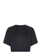 Laser Mesh Crop Tee Casall Black