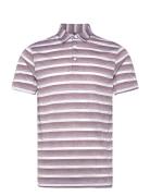 2 Color Stripe Adidas Golf Purple
