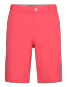Dealer Short 10" PUMA Golf Pink