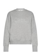 Terry Spring Graphic Crew Casall Grey