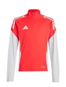 Tiro25C Tr Topy Adidas Performance Red