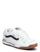 Rowley Xlt VANS White