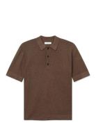 Wwupton WOOD WOOD Brown