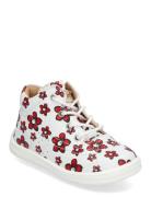 Edsbro Xc Kavat White