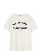 Big Rooster Kid T-Shirt White Logo 2Y THE ANIMALS OBSERVATORY White