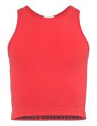 Hyena Kid Tank Top Red THE ANIMALS OBSERVATORY Red