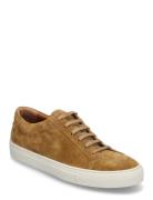 Jermain Suede Sneaker Polo Ralph Lauren Brown