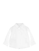Oxford Cotton Shirt Mango White