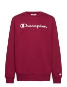 Crewneck Sweatshirt Champion Red