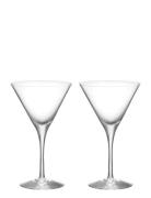 More Martini Glass 2-Pack Orrefors