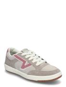 Lowland Cc VANS Grey