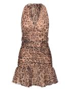 Mave Halter Neck Mini Dress Bardot Beige