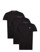 Vin 3 Pack T-Shirt Massimo Men VINSON Brown
