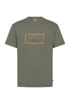 Arch Frame Ss Billabong Green