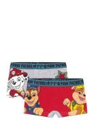 Boxer Paw Patrol Patterned