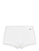 Women's Bamboo Legend Boxer Frank Dandy White