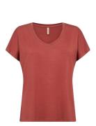 Sc-Marica Soyaconcept Red