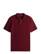 Liquid Cotton Reg Seasonal Polo Tommy Hilfiger Burgundy