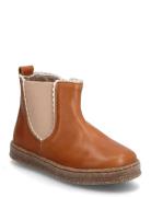 Bisgaard Siggi Lamb Bisgaard Brown