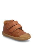 Booties - Flat - With Velcro ANGULUS Brown