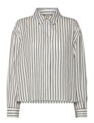 Frviolet Sh 1 Fransa Grey