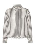 Frviolet Sh 1 Fransa Brown