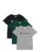 3 Pack Ss Tee Champion Patterned