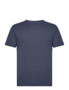 Basic T-Shirt Knowledge Cotton Apparel Navy