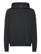Borg Classic Hoodie Björn Borg Grey