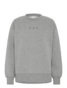 Iholinne Sw ICHI Grey