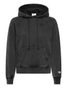 Hooded Sweatshirt Champion Black