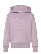 Hooded Sweatshirt Champion Pink