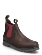 Frans Marstrand Marstrand Brown