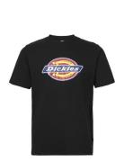 Icon Logo Tee Dickies Black