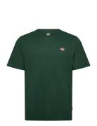 M Ss Mapleton Tee Dickies Green