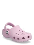 Classic Clog T Crocs Pink