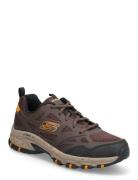 Mens Hillcrest - Vast Adventure Skechers Brown